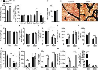 In Vivo Analysis of the Contribution of Proprotein Convertases to the Processing of FGF23